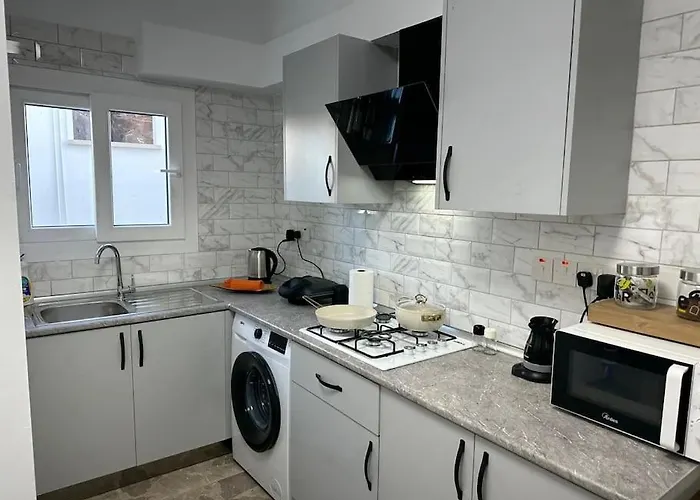 公寓 Brand New Renovated 1 Bedroom 3a