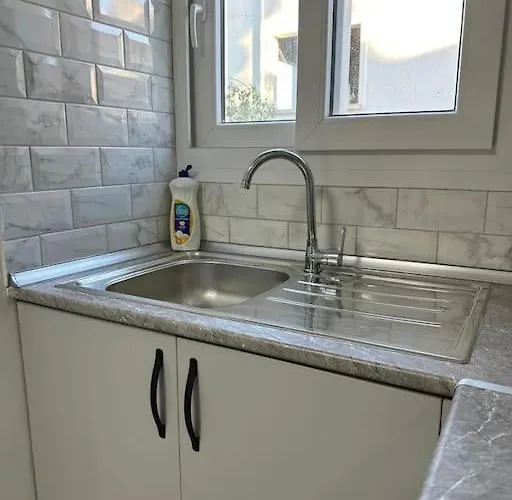 公寓 Brand New Renovated 1 Bedroom 3a 尼科西亚